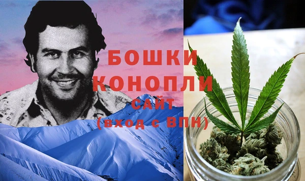 индика Богородицк